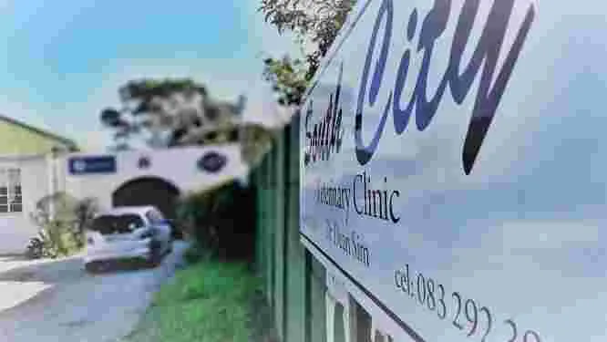South City Vet Clinic photo 2