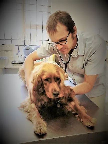 South City Vet Clinic photo 3