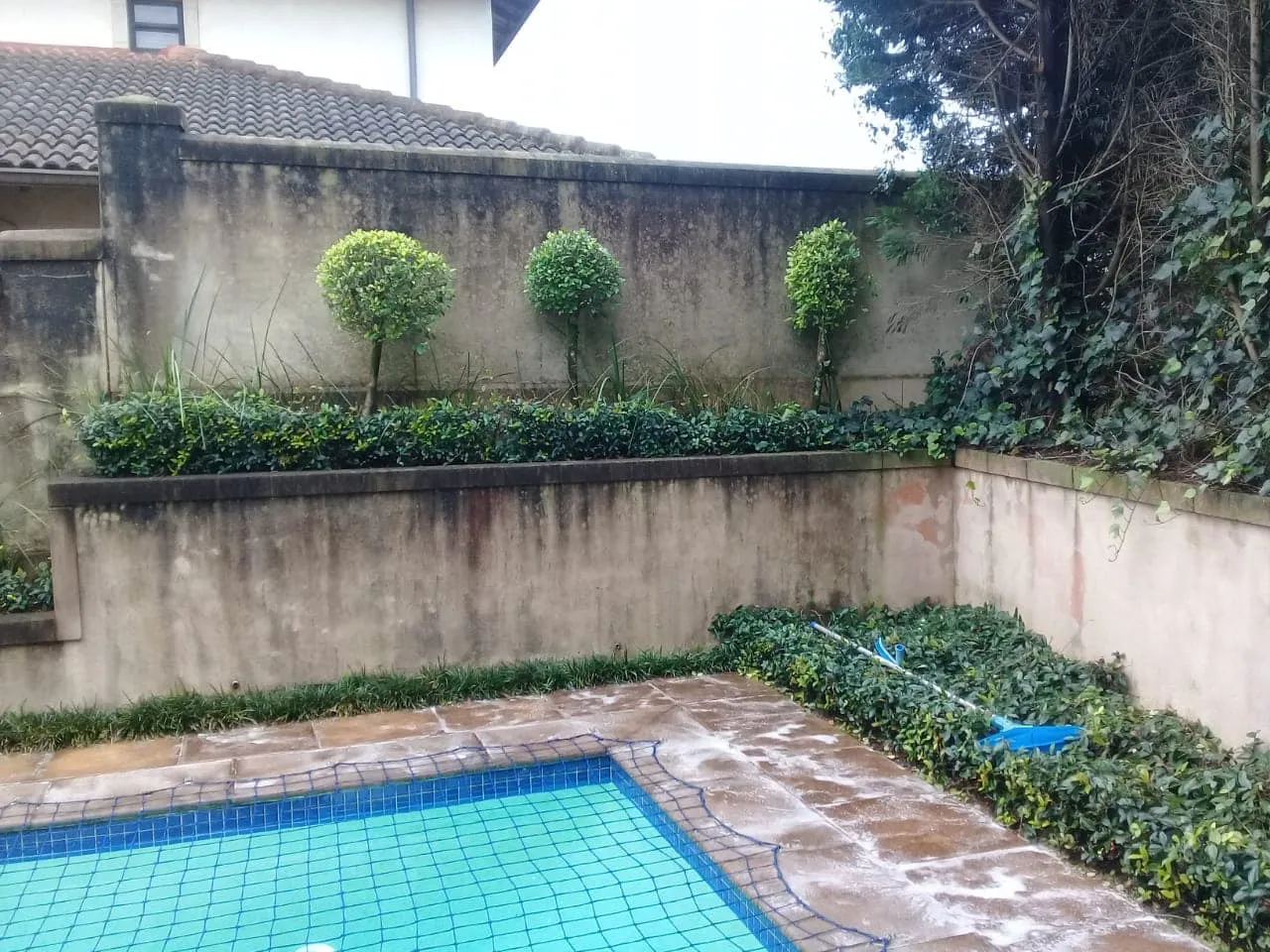 CleanBright photo 1