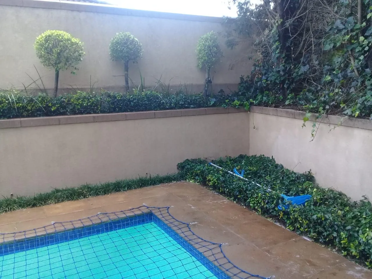 CleanBright photo 2