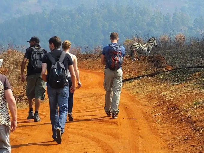 HoneyBadger Travel & Tours photo 3