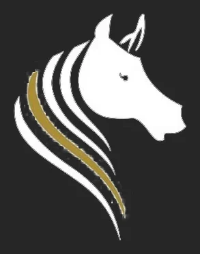 Stephenson Adventures logo