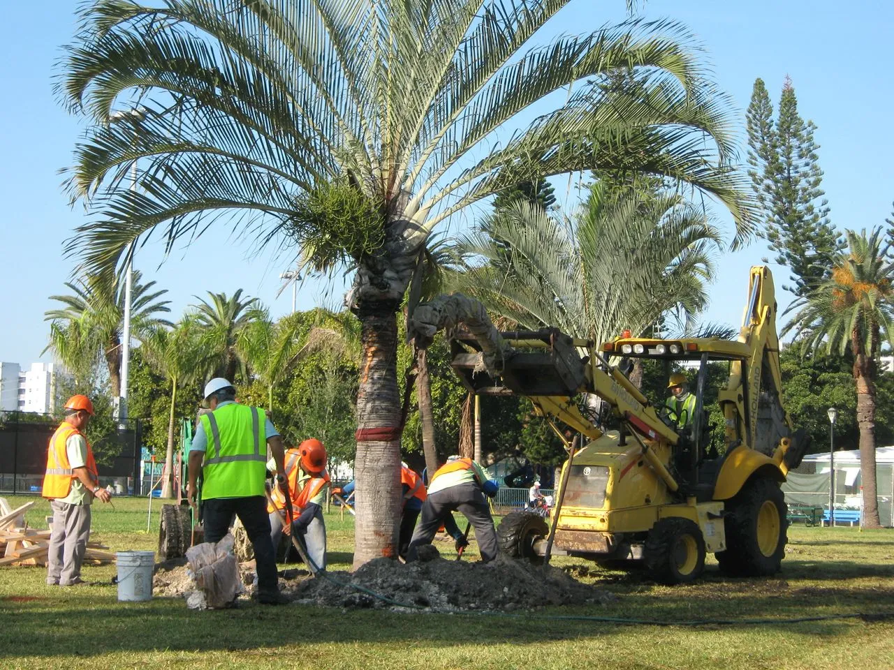 Wilsac Tree Fellers 0738088293 photo 1