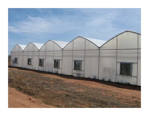 Greenhouse Kwazulu Natal 0738088293 logo