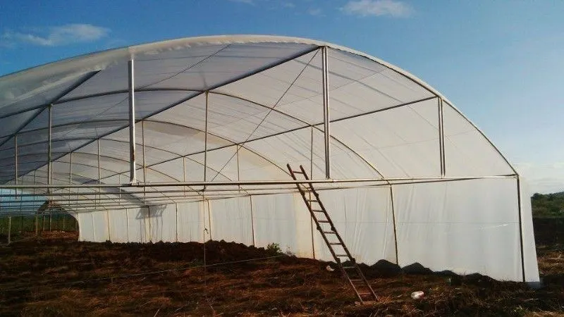 Greenhouse Kwazulu Natal 0738088293 photo 1