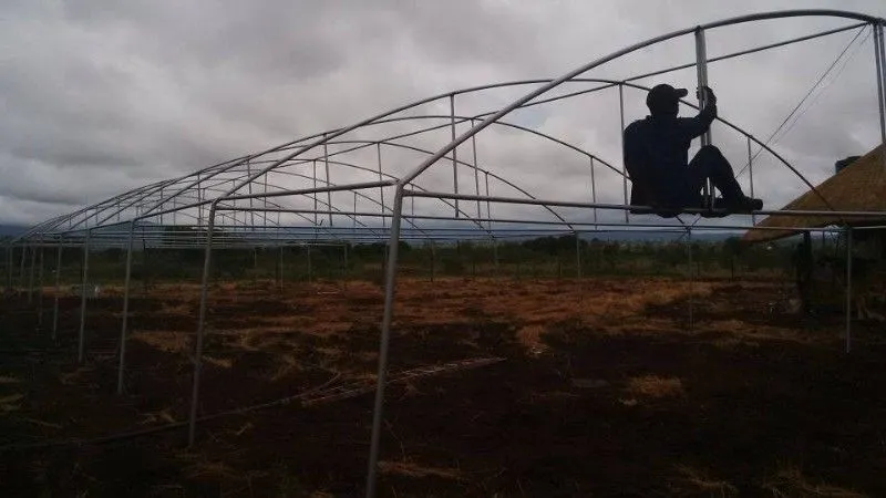 Greenhouse Kwazulu Natal 0738088293 photo 2