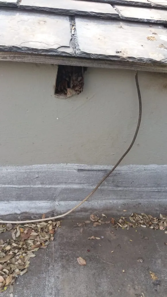 Asset Maintenance - The roofing Company photo 4