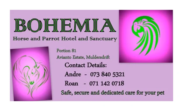 Bohemian Bird Hotel logo