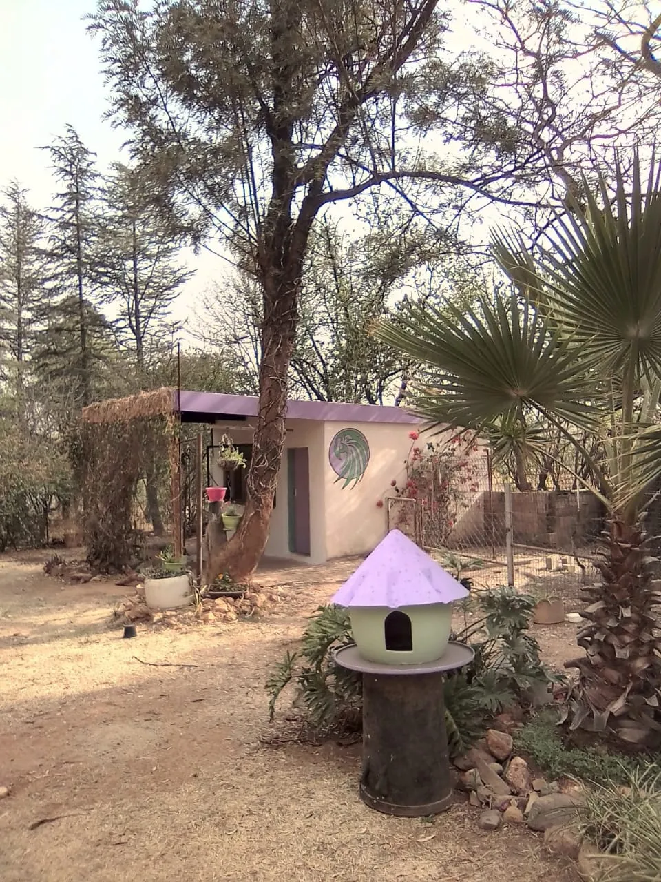 Bohemian Bird Hotel photo 1