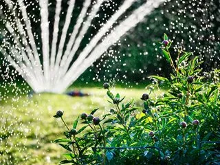 Smart Irrigation photo 1