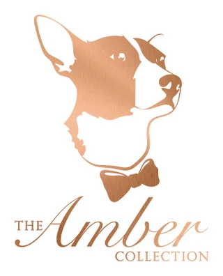 The Amber Collection logo