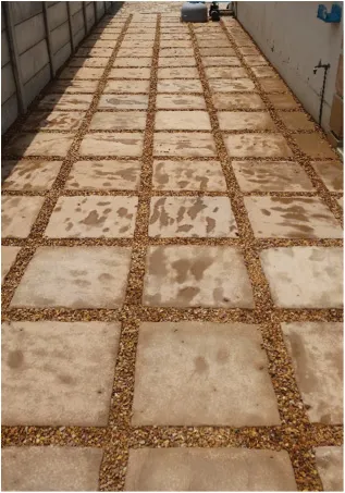 Lascocrete photo 1