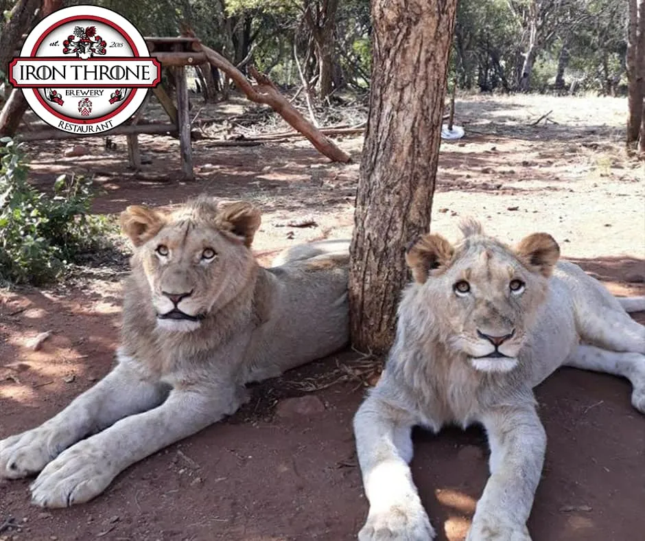 Iron Throne Predator Park & Brewing Co. photo 3