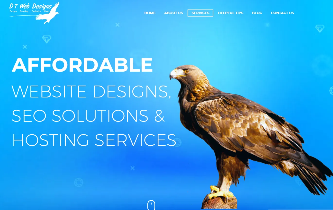 DT Web Designs photo 3