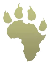 Africa Media logo