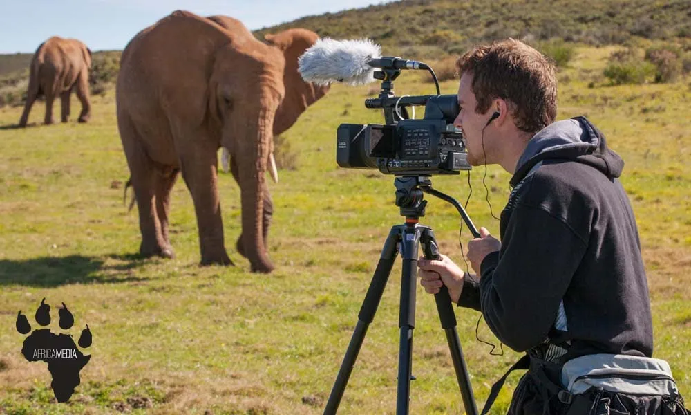 Africa Media photo 4