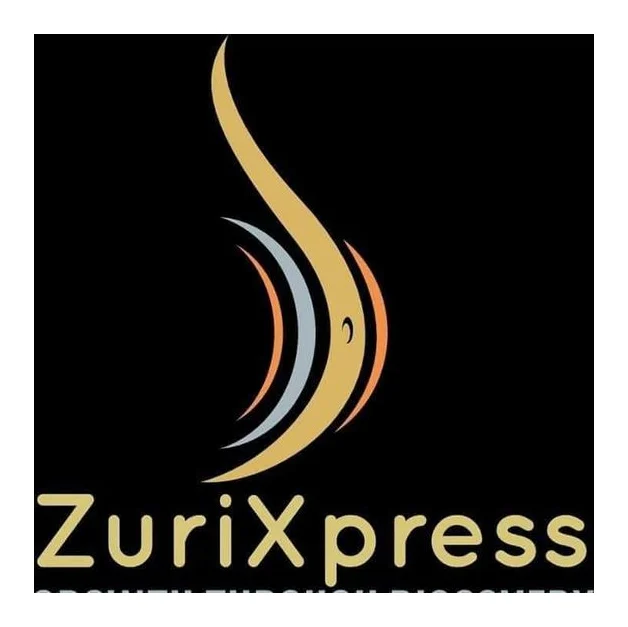 ZuriXpress & Dark Matter Consulting logo