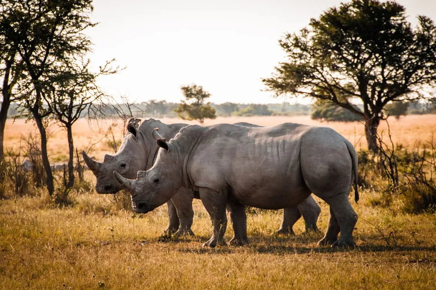 Vaya Africa Travels photo 1