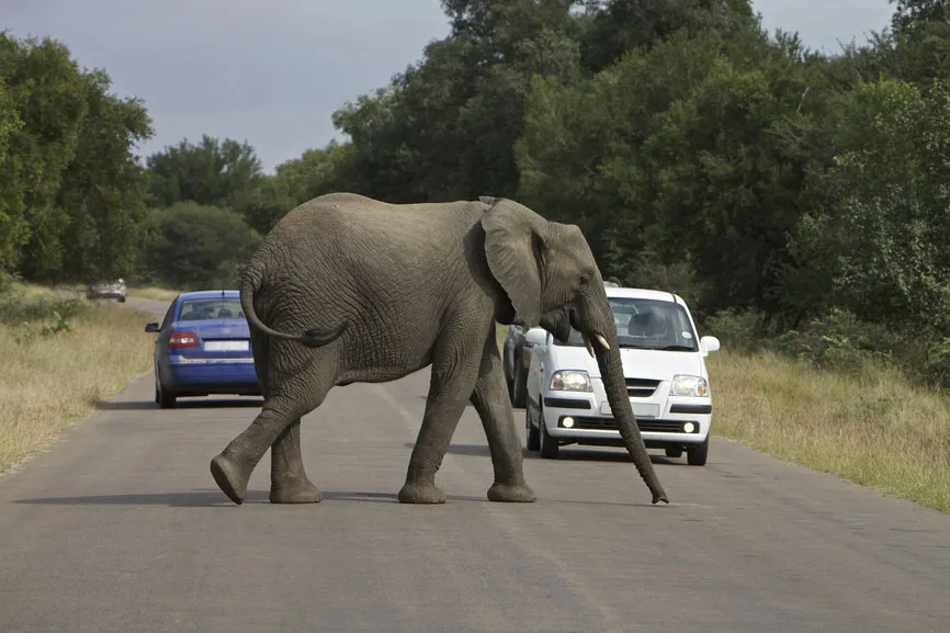 Vaya Africa Travels photo 4