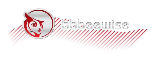 Bbbee Wise Advisory Services logo