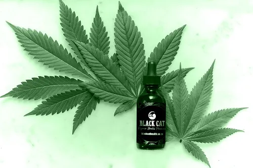 groen! Natural Health and Beauty Solutions photo 1