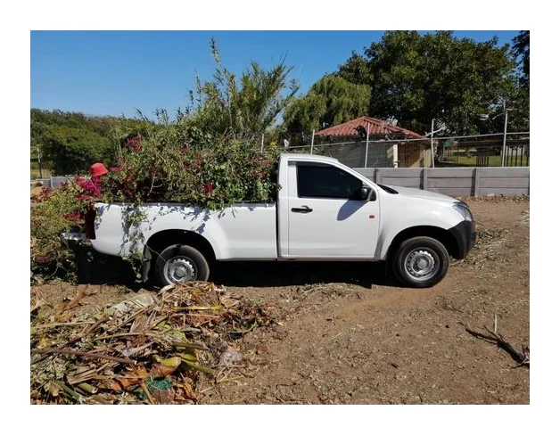 Green Grass Tree Felling and Removals logo