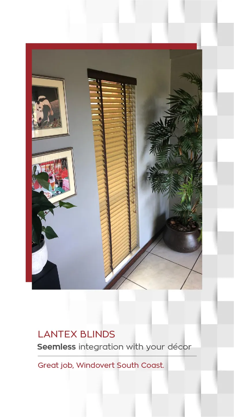 Windovert photo 2