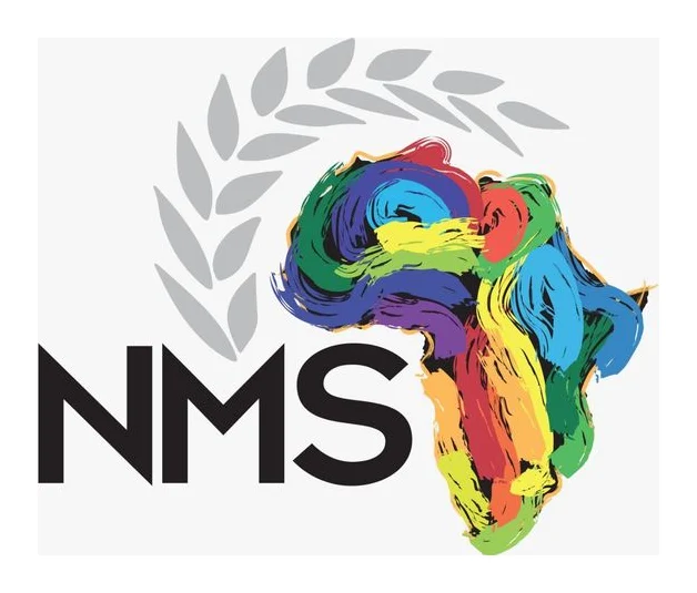 Natus Mining Solutions Africa logo