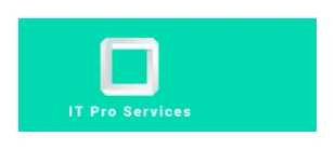 IT Pro Services logo